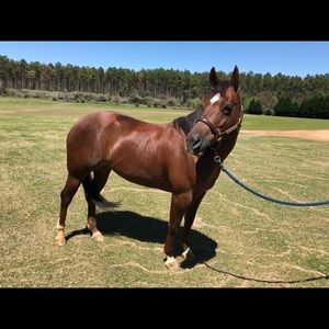 Meet your Posher, Caroline